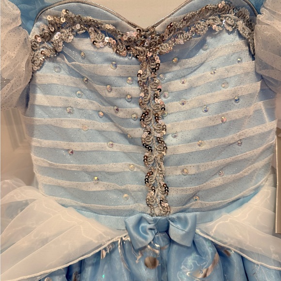 NWT Official Disney Cinderella 75th Anniversary Deluxe Princess Dress- Size 5/6 - Picture 3 of 6
